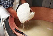 I Sapori della Terra: l’arte bianca dei formaggi tradizionali, tra pascoli e stagionature