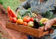 Frutta e verdura di stagione a settembre: cosa portare in tavola per il benessere