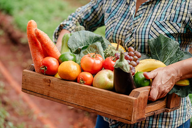 istockphoto-2260443414-612x612