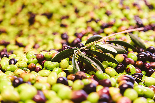 Olio extravergine d'oliva nel Lazio: la nuova campagna olearia tra eccellenza e tutela della filiera 1 istockphoto 466310654 612x612 1