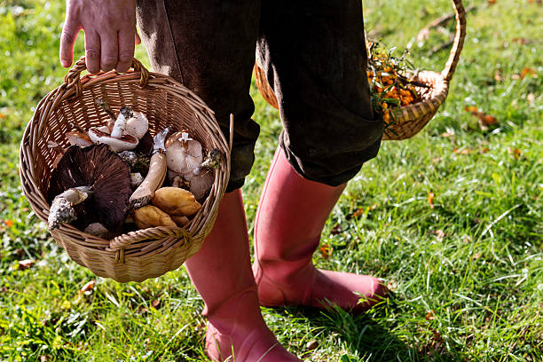 istockphoto-537818393-612x612