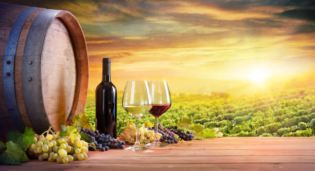 Dalla vigna alla tavola: il boom dell'enoturismo che unisce paesaggio, cultura e sostenibilità 1 istockphoto 831213596 612x612 1
