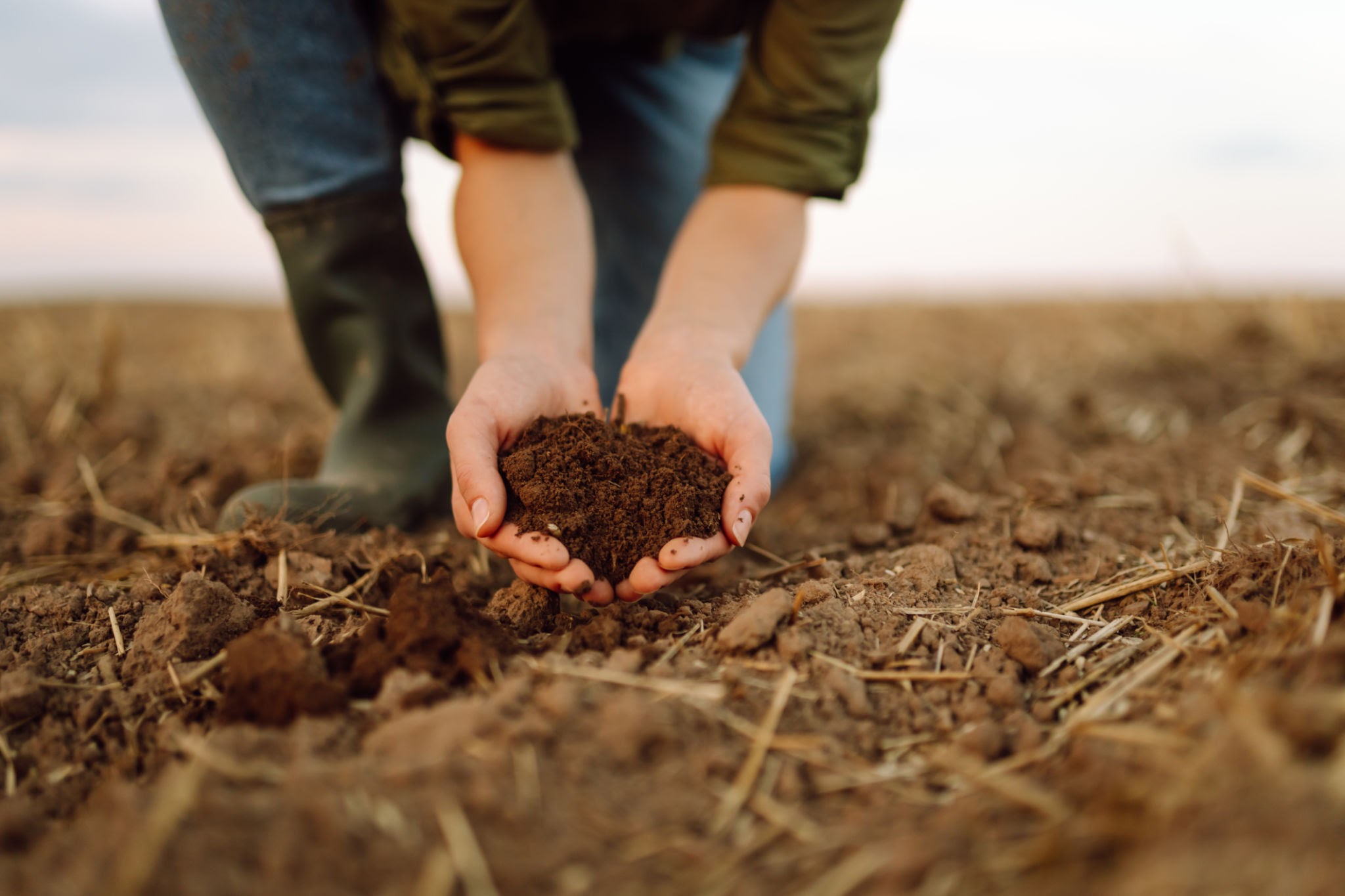 I SAPORI DELLA TERRA: L’AGRICOLTURA DEL FUTURO TRA INNOVAZIONE E SOSTENIBILITÀ
