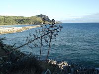 Il Cilento che si racconta: viaggio tra borghi, mare, arte e memoria