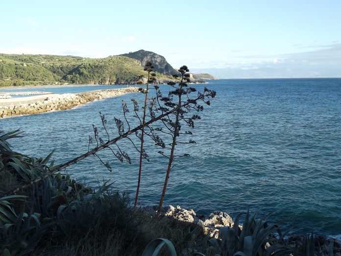 Marina di Camerota (3)