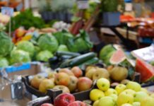 I Sapori della Terra: Un Ritorno Alle Radici del Gusto e della Tradizione