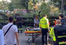 MILANO, FERITI PER ALBERO CADUTO, DE CORATO(FDI): «CSX INCAPACE DI GARANTIRE SICUREZZA SU TUTTI I FRONTI»
