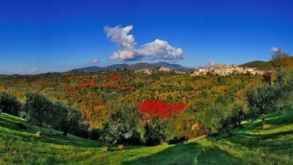 Ambiente e Territorio: La Custodia dei Boschi e la Salvaguardia del Patrimonio Verde in Sabina Ambiente e Territorio: La Custodia dei Boschi e la Salvaguardia del Patrimonio Verde in Sabina
