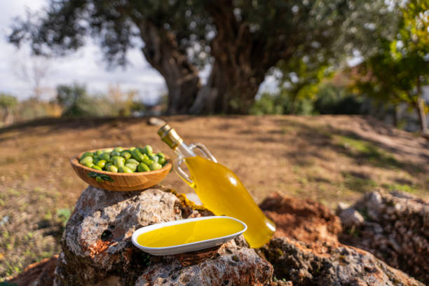Olio Extravergine della Sabina: al via la nuova campagna olearia tra qualità e tutela del prodotto