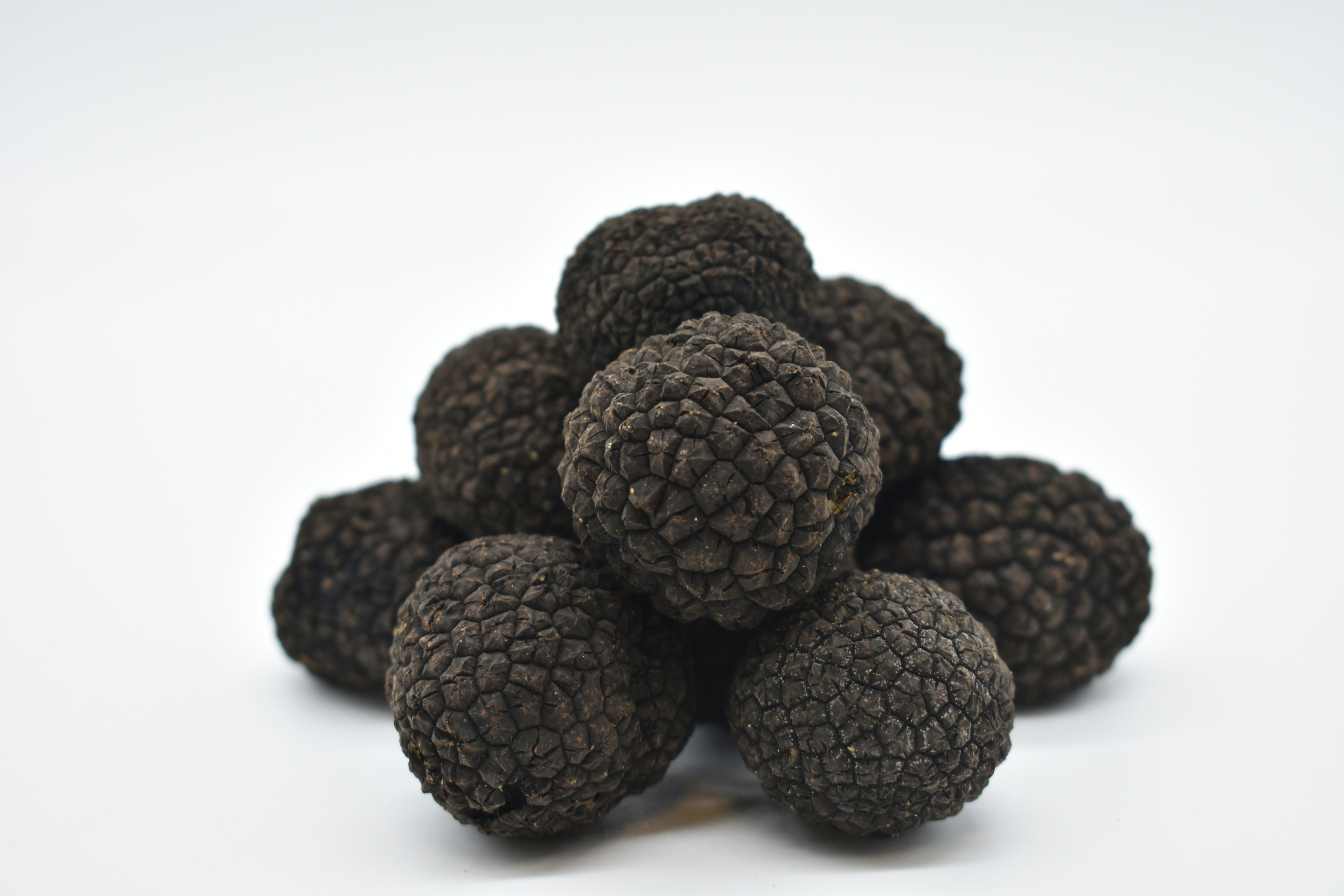 Il Tartufo Nero di Campoli Appennino: il gioiello nascosto della Ciociaria che accende l’autunno gastronomico Il Tartufo Nero di Campoli Appennino: il gioiello nascosto della Ciociaria che accende l’autunno gastronomico