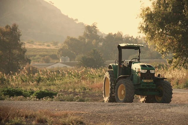 COLDIRETTI LAZIO: COSTI DI PRODUZIONE INSOSTENIBILI PER LE AZIENDE AGRICOLE