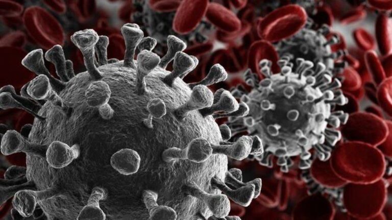 Covid, scoperto in Italia un farmaco che può bloccare il virus