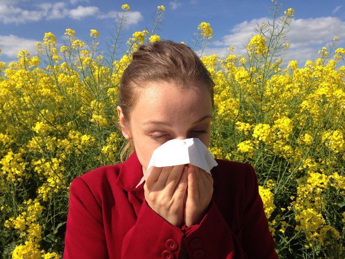 Allergie, De Pità: “Colpiti 9 milioni di italiani, di più le donne”