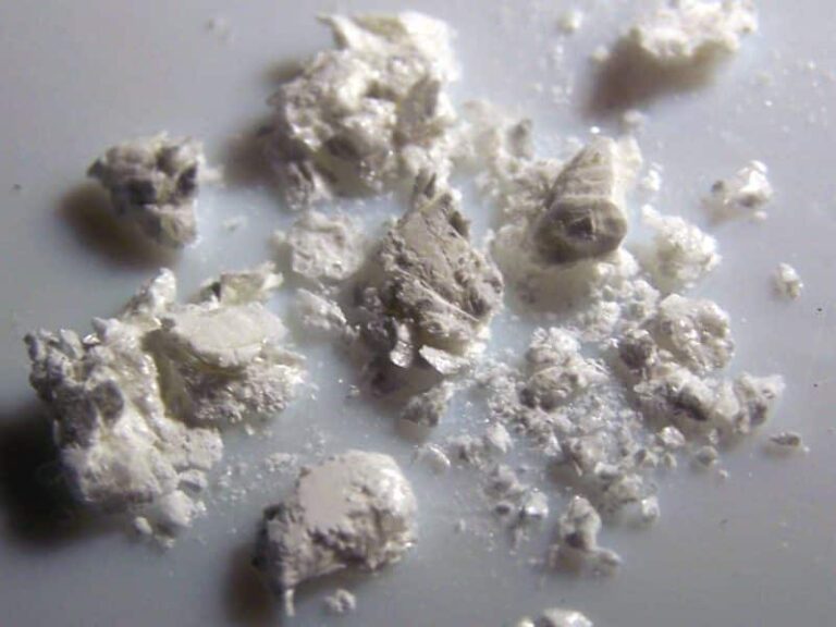 In Bolivia distrutti laboratori di cocaina nascosti nella foresta