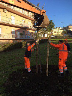 CERVETERI: MULTISERVIZI PUBBLICA REPORT ATTIVITA’ SU VERDE E ILLUMINAZIONE DI MAGGIO