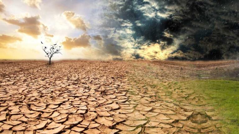 Desertificazione, Israele in campo con la comunità di ricerca DeserTech