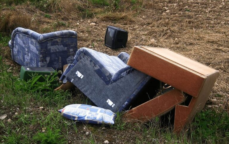 Rifiuti Roma, la precisazione del MiTE
