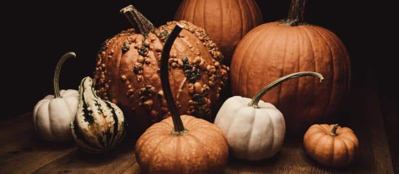 Halloween zucche