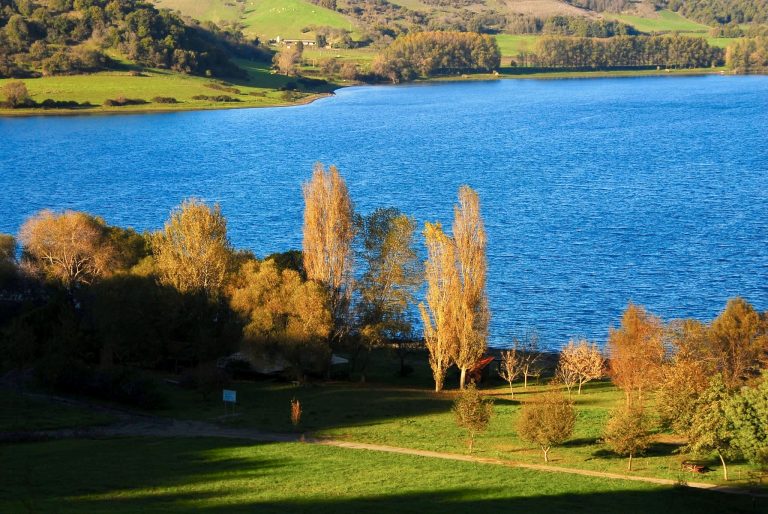 Lago di Martignano, un’oasi blu nascosta