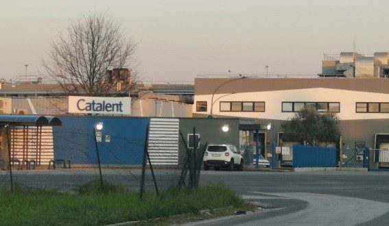 catalent