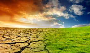 cambiamenti-climatici