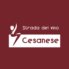 strada del vino
