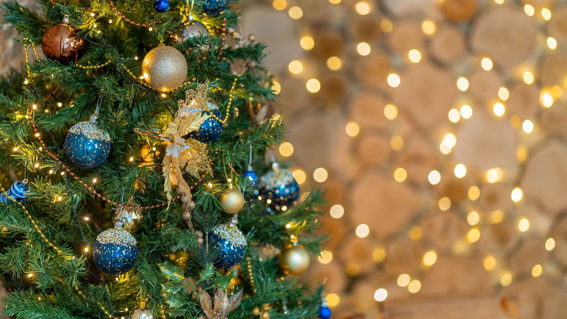 albero-di-natale-4