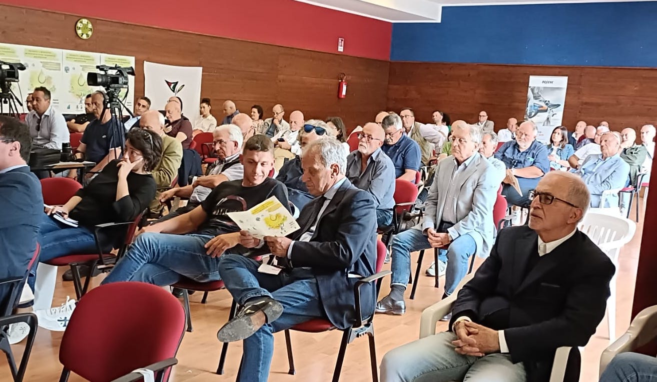 Foto CONVEGNO “FRAGILITÀ E RESILIENZA DEI SISTEMI OLIVICOLI TRADIZIONALI DELL’APPENNINO”