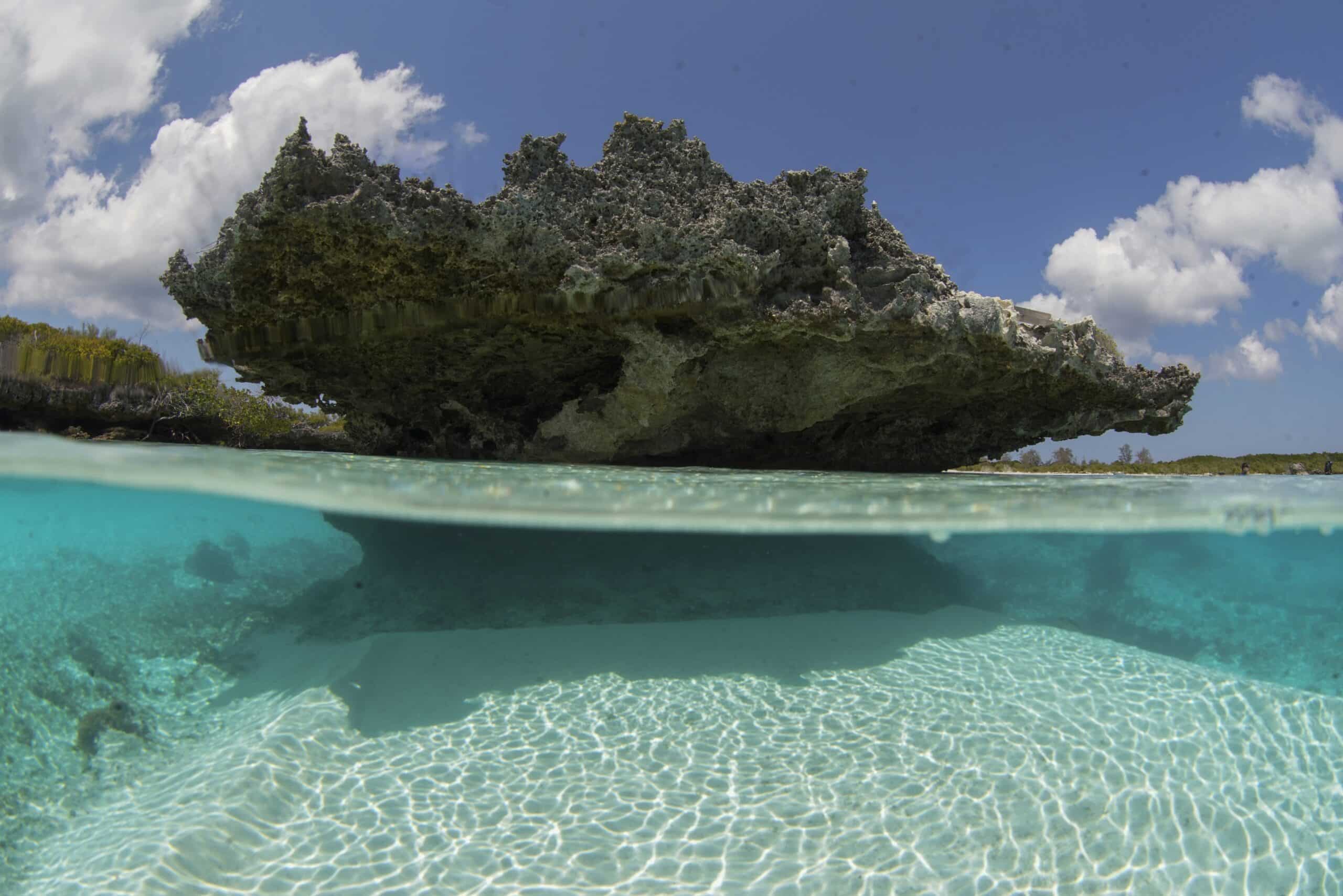 Aldabra