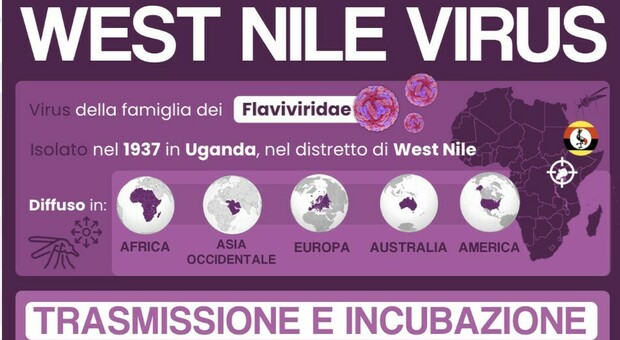 8975655_25071239_west_nile_sintomi