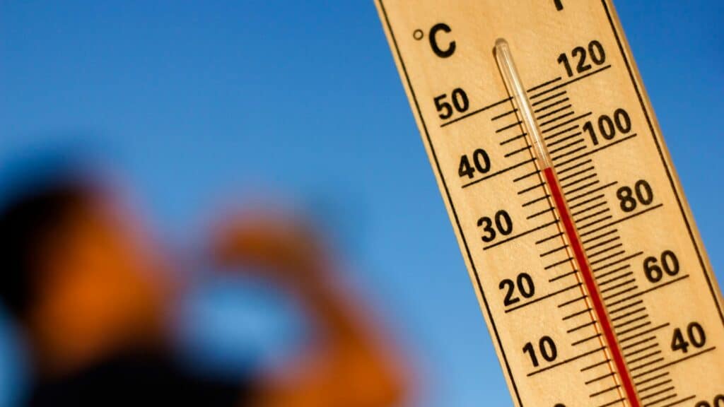 caldo-1024x576