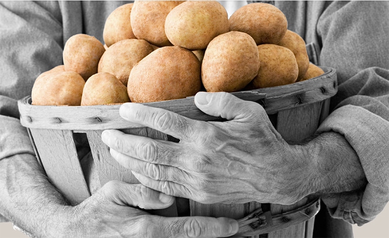 romagoli-patate