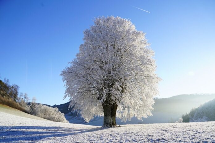 gelo-neve-maltempo-3-1024x683
