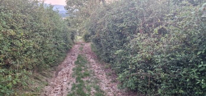 strada rurale