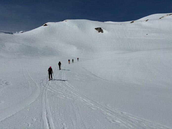 neve