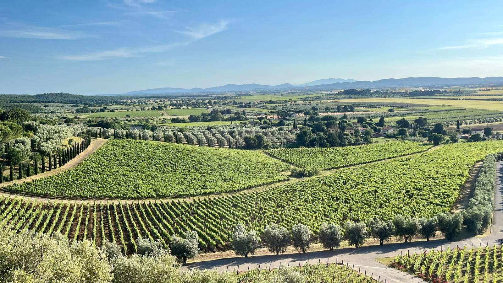 Cantine Aperte