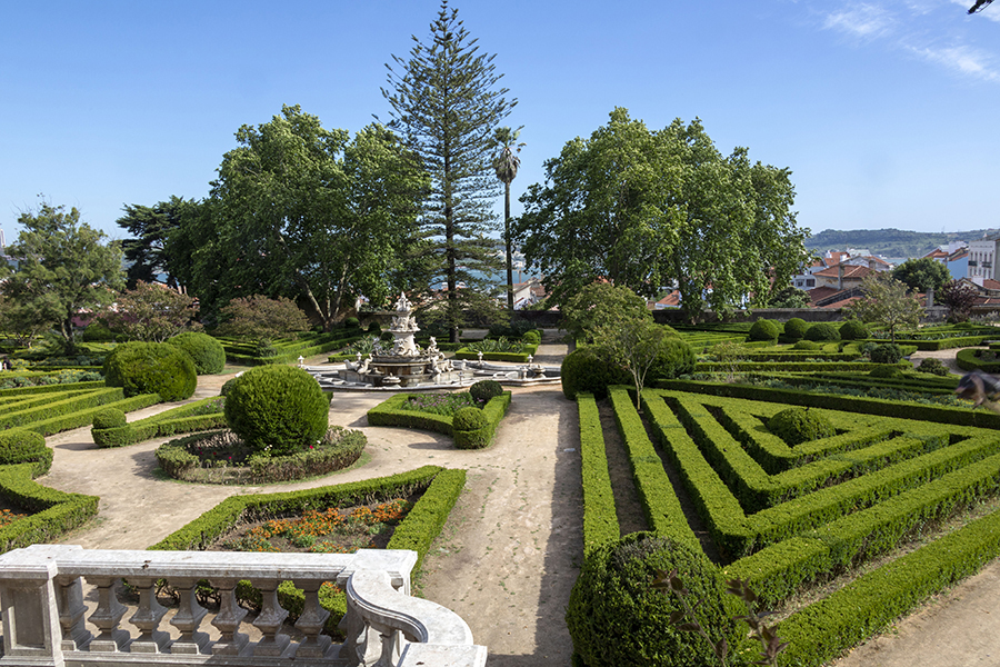 Jardim Botanico da Ajuda © Francisco Sa da Bandeira