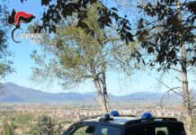 TRUFFA ONLINE NEL SETTORE DEL NOLEGGIO AUTO: DENUNCIATA UNA DONNA AL TERMINE DELLE INDAGINI DEI CARABINIERI DI RIETI