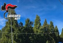 GRECCIO: ANZIANA NON CEDE ALLA TRUFFA DEL “FALSO INCIDENTE