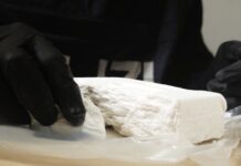 ROMA: DALLA DROGA RECUPERATA IN UN TOMBINO ALLE DOSI NASCOSTE NEL VERDE: 8 ARRESTI DELLA POLIZIA DI STATO