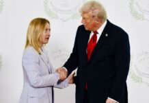 Meloni al New York Times: “Io e Trump vicini su woke e immigrazione, pensavo sarebbe stato più facile con lui”