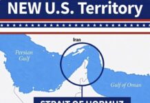 Iran, lo stretto di Hormuz diventa il “nuovo territorio Usa”: l’ultima provocazione di Trump. Tensione nei Paesi del Golfo, esplosioni a Dubai